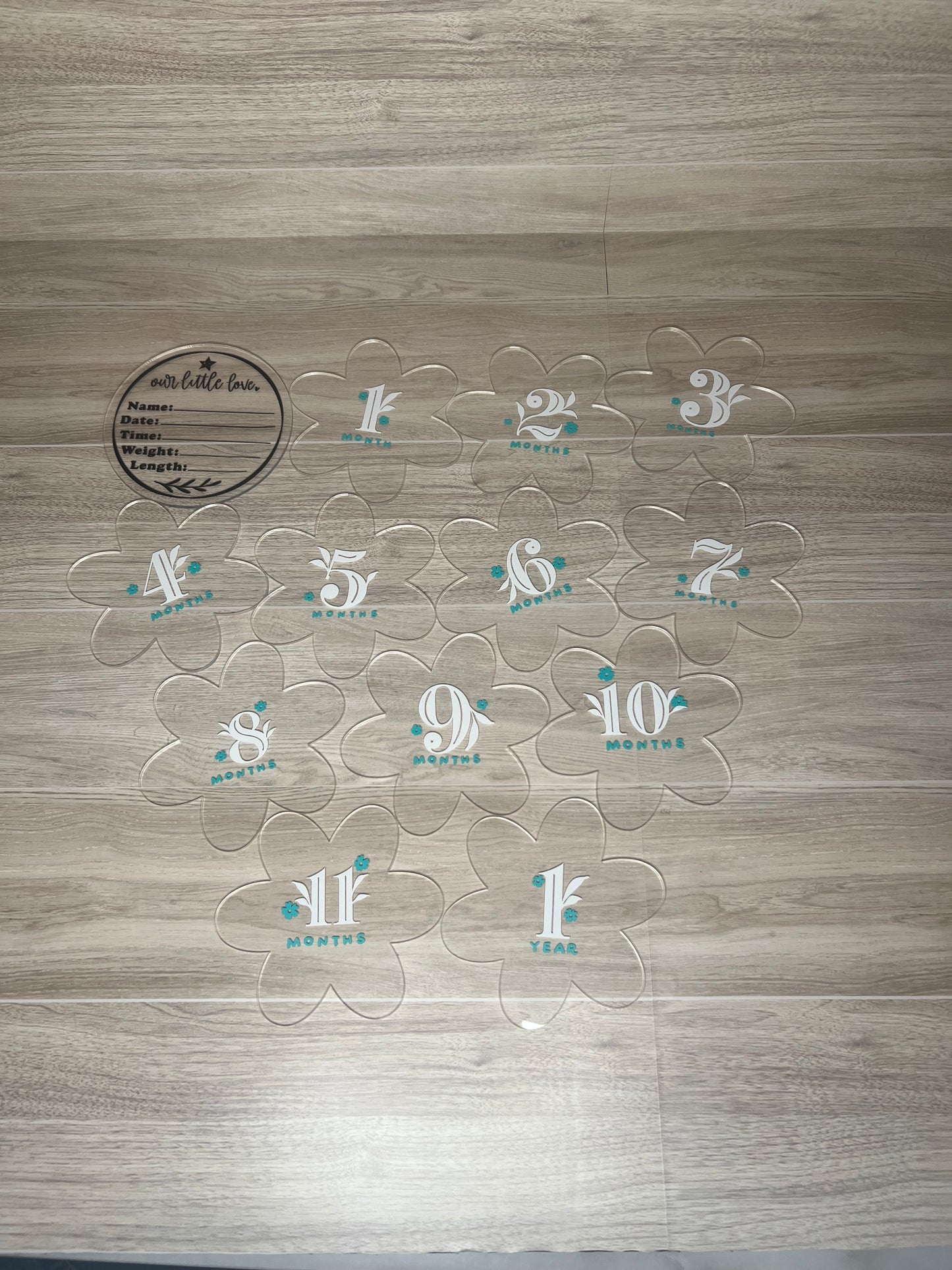 Baby Girl Monthly Milestone