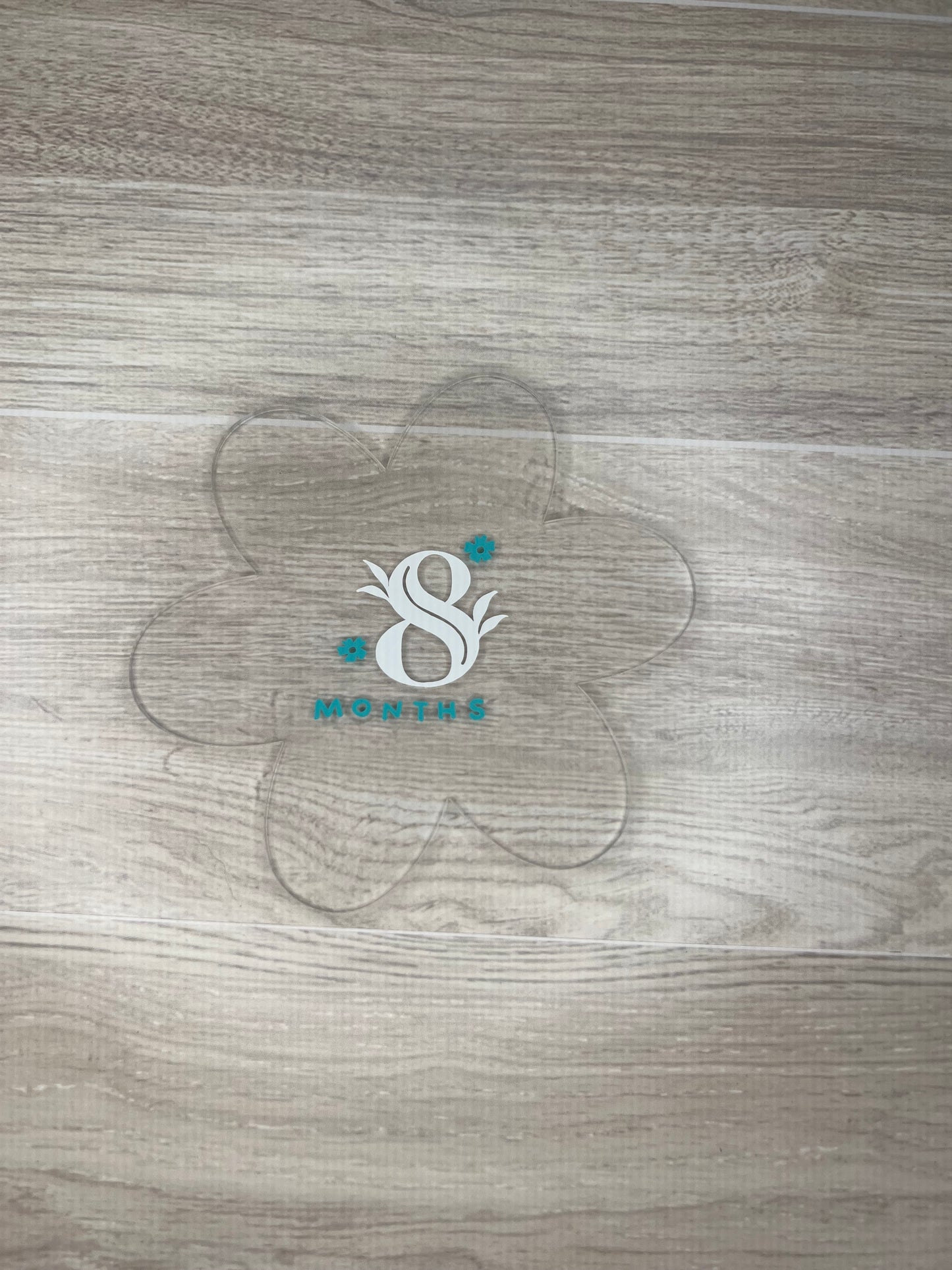 Baby Girl Monthly Milestone