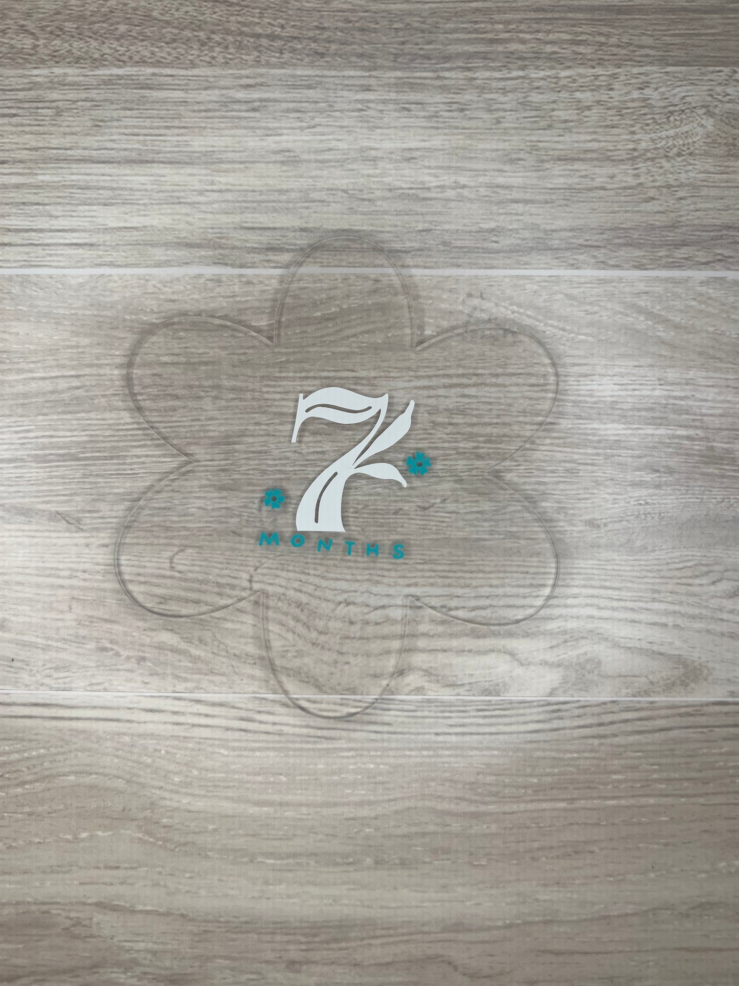 Baby Girl Monthly Milestone