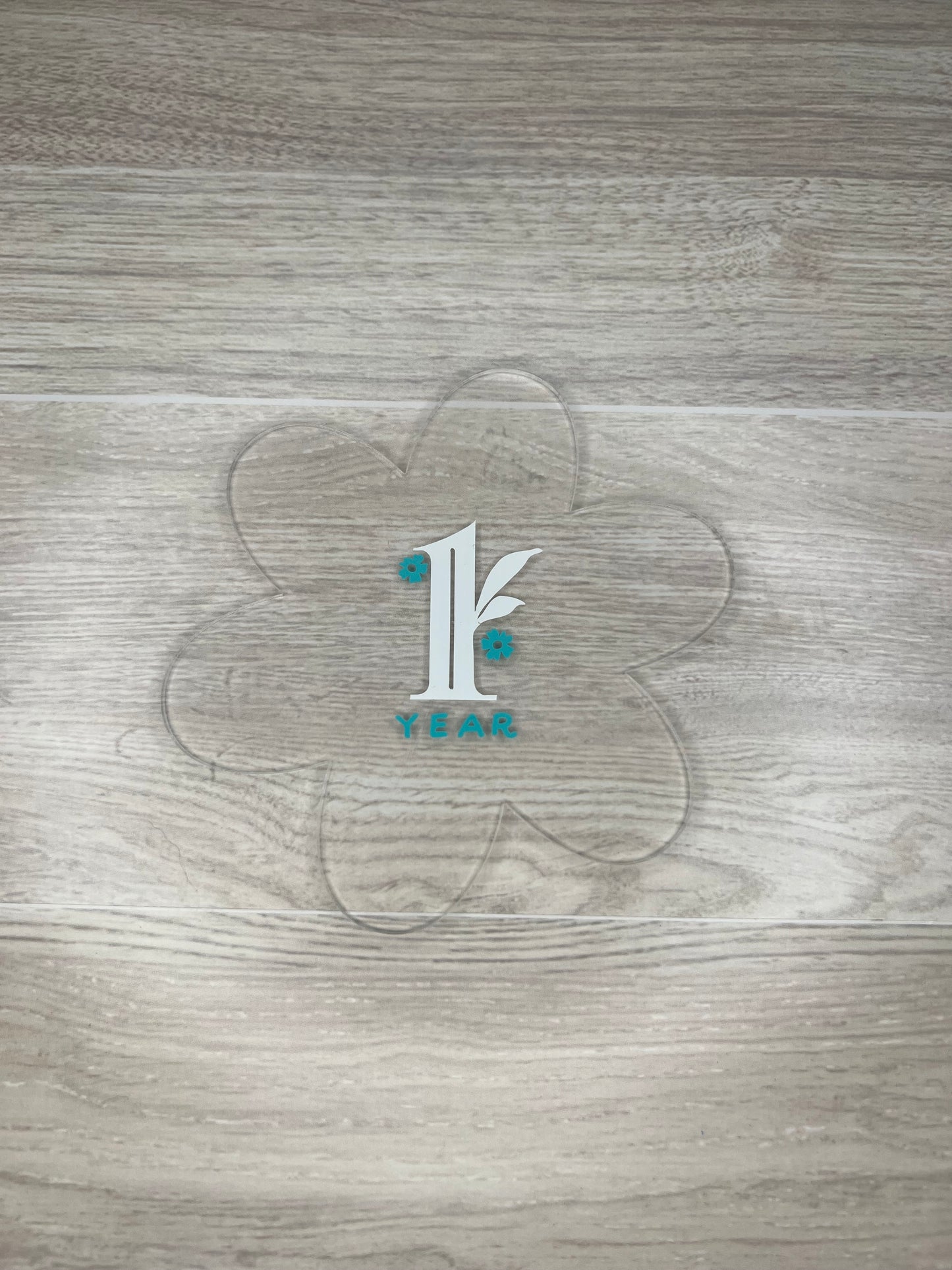 Baby Girl Monthly Milestone