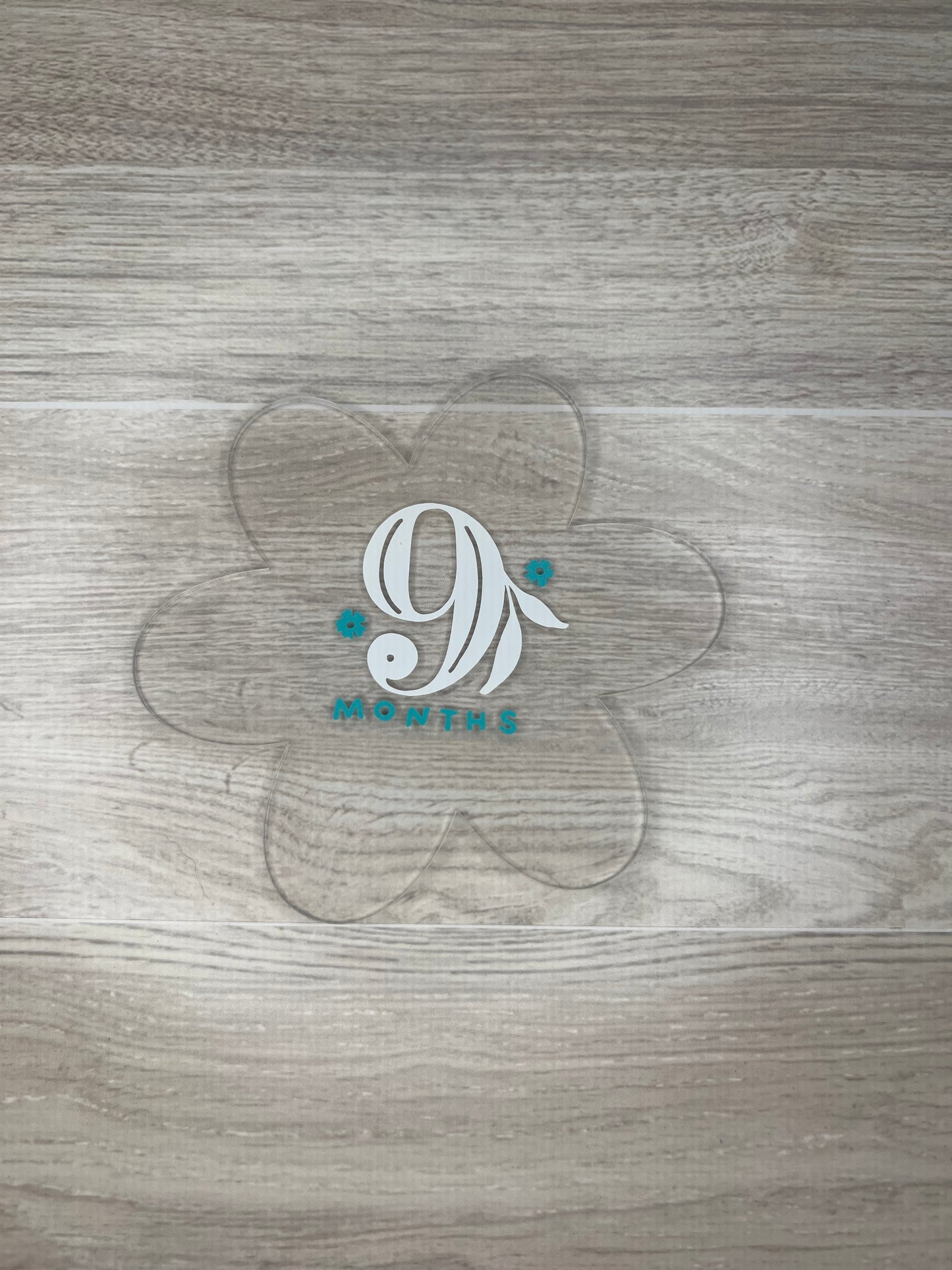 Baby Girl Monthly Milestone