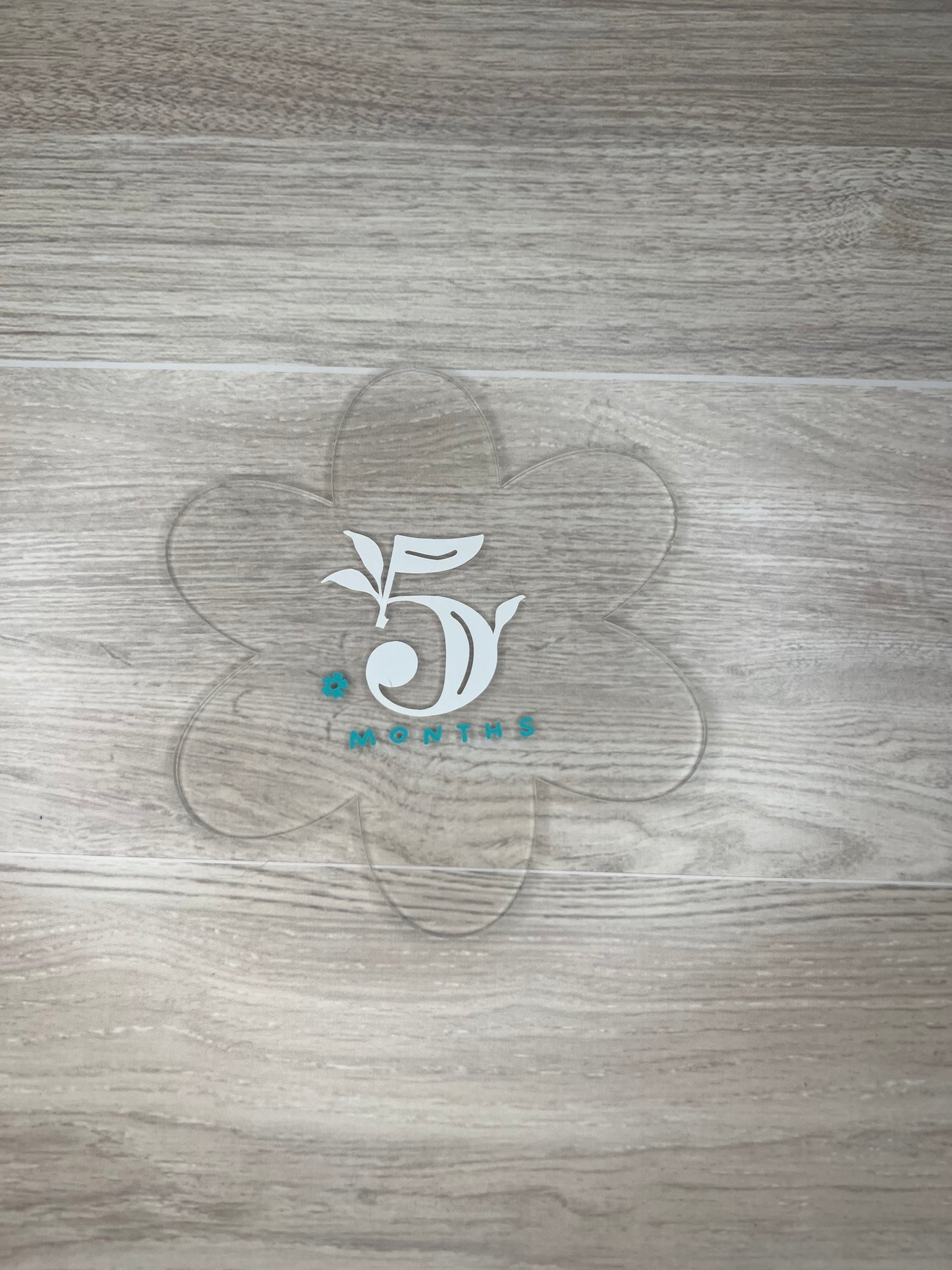 Baby Girl Monthly Milestone