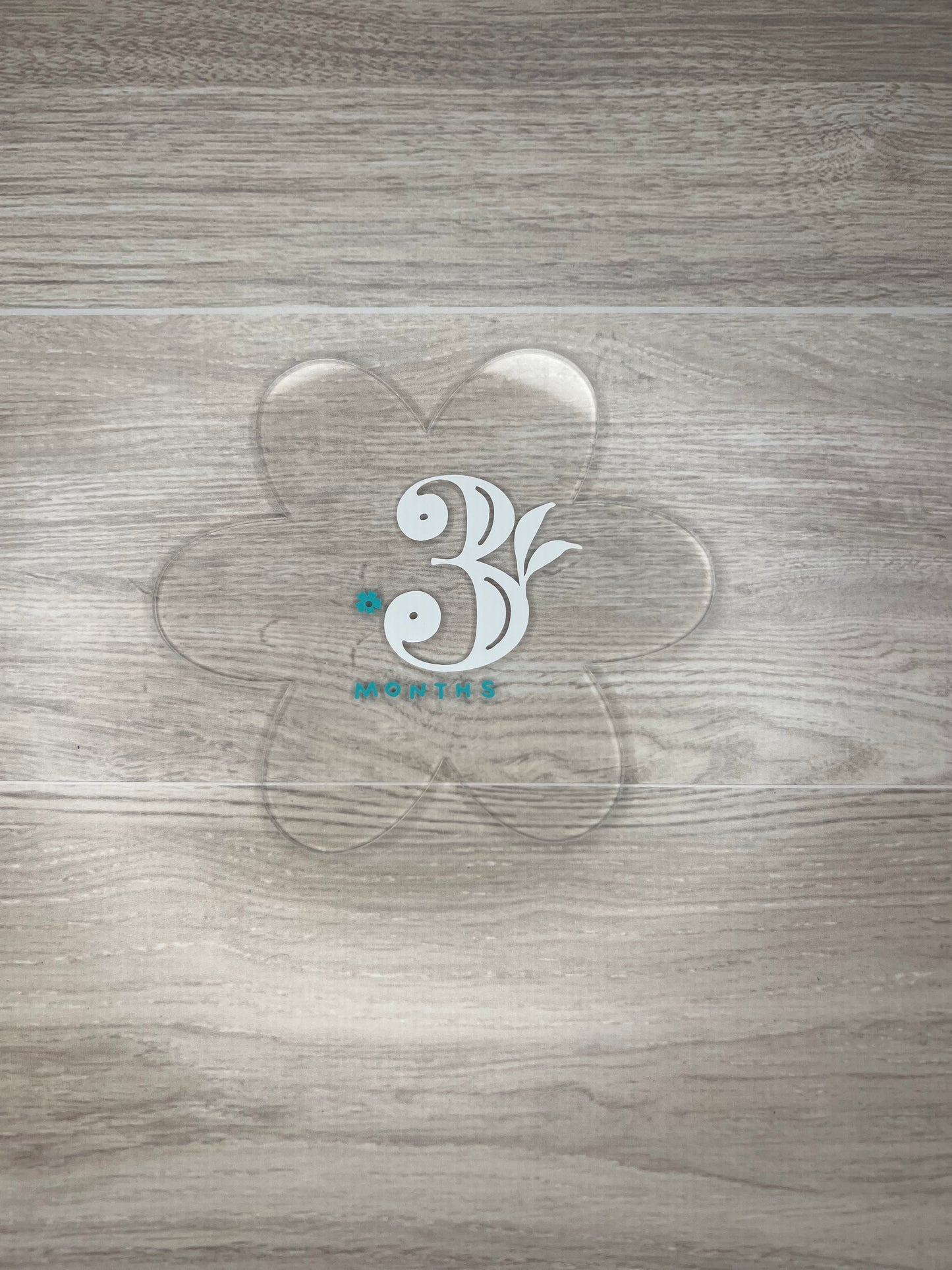 Baby Girl Monthly Milestone