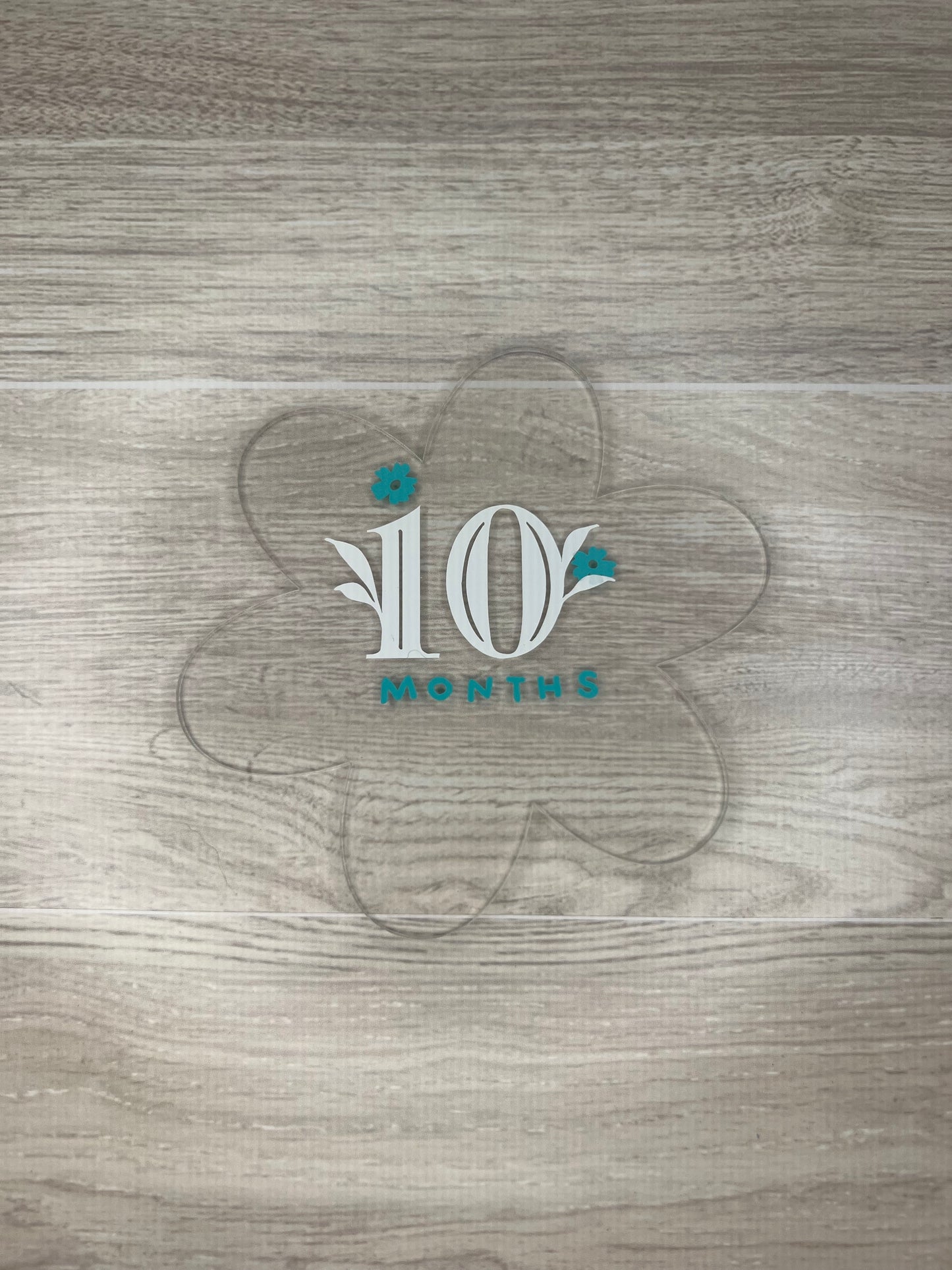 Baby Girl Monthly Milestone