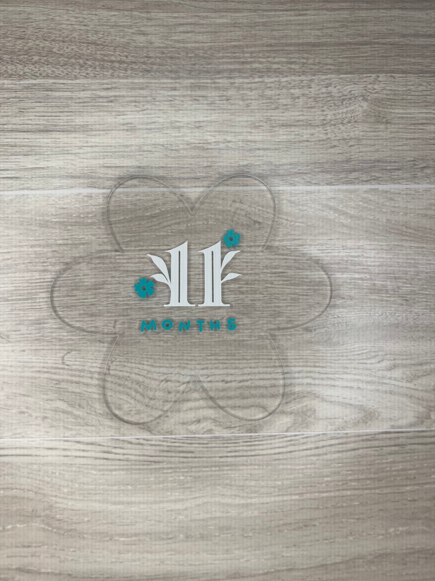 Baby Girl Monthly Milestone