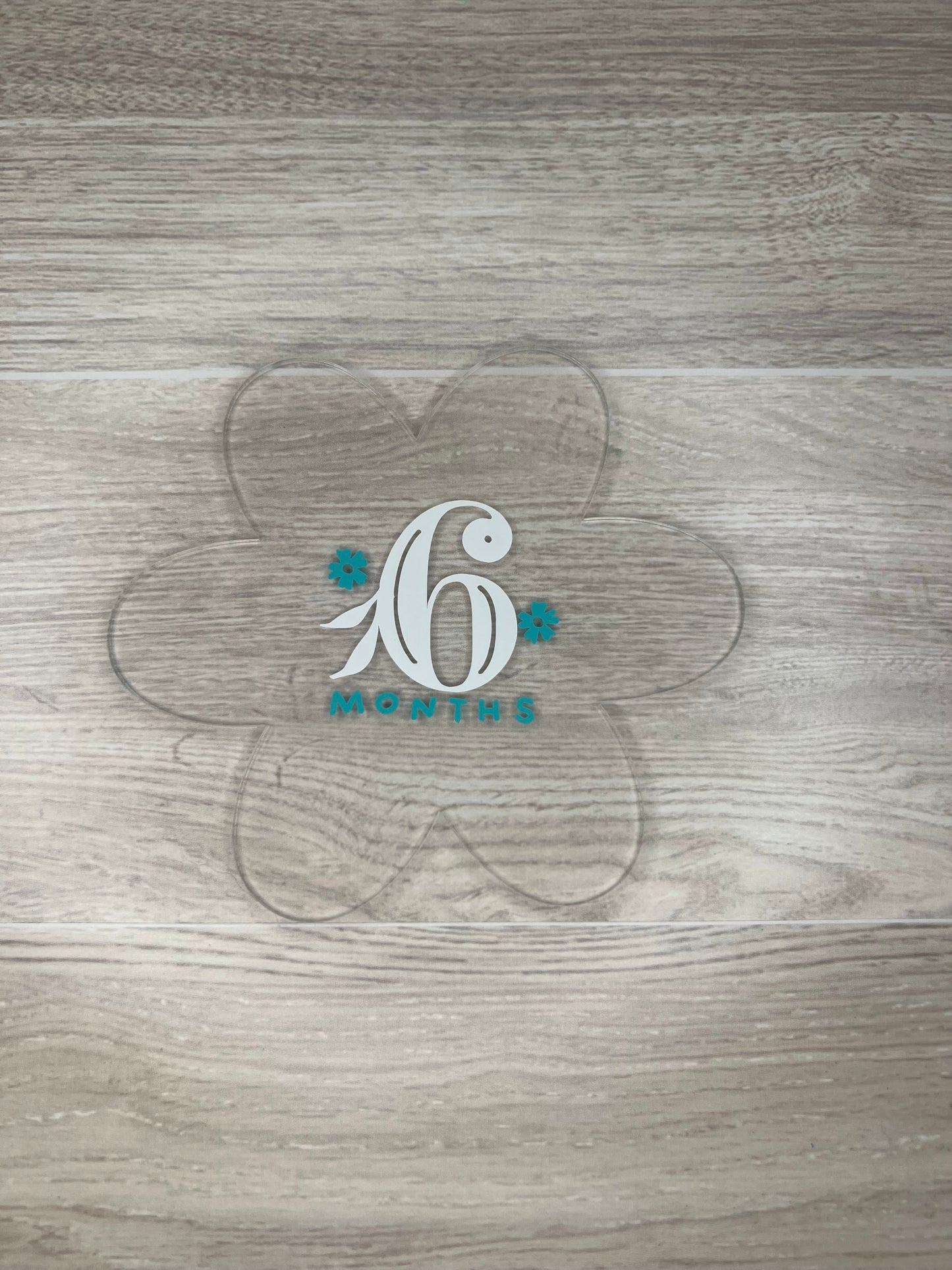 Baby Girl Monthly Milestone