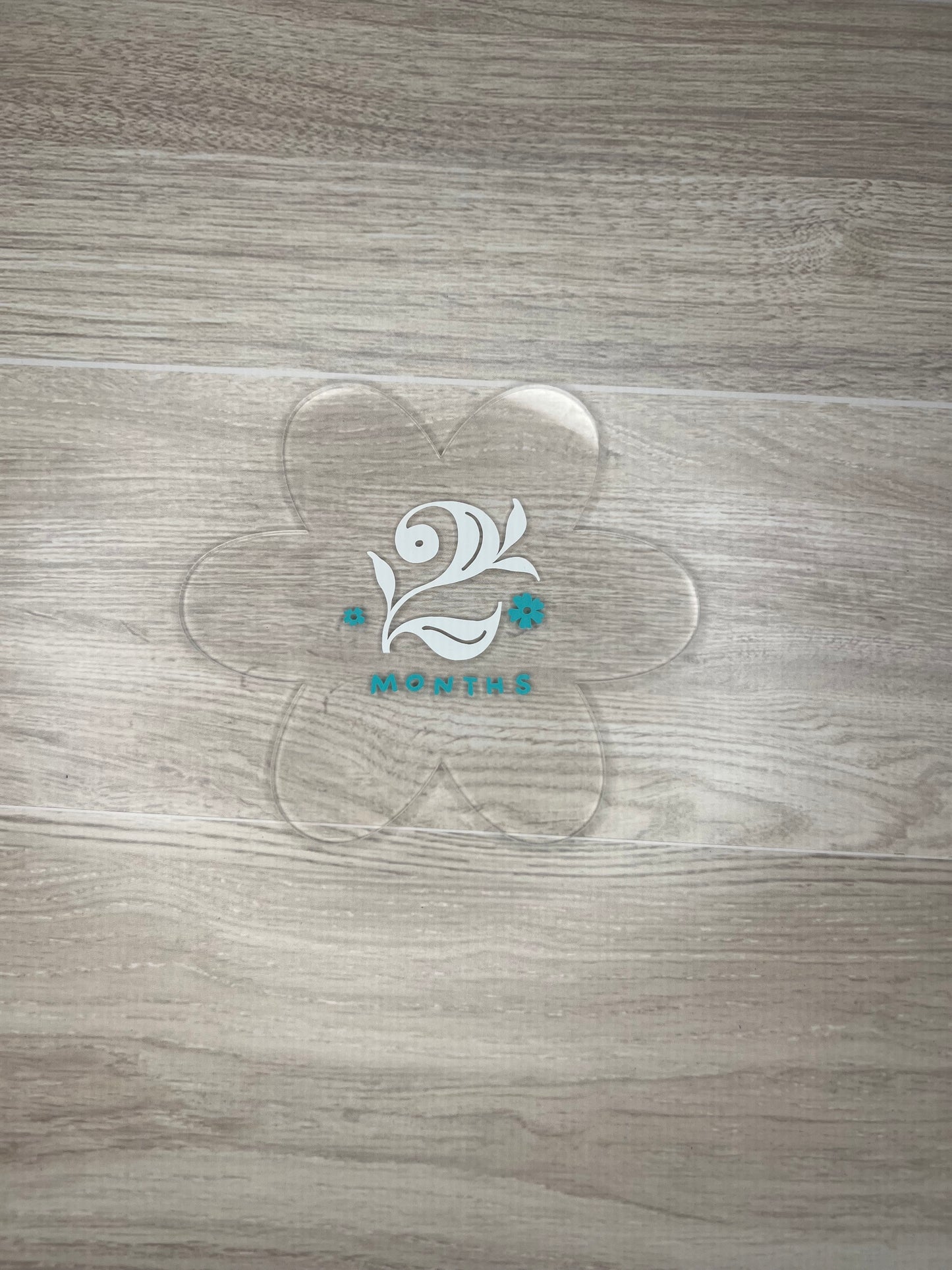 Baby Girl Monthly Milestone