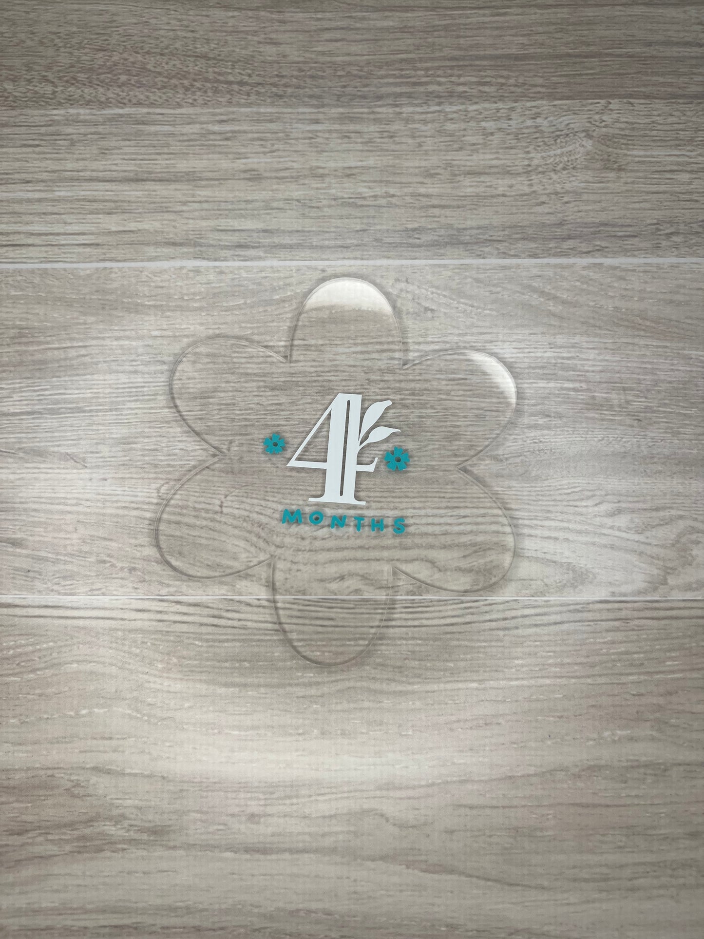 Baby Girl Monthly Milestone