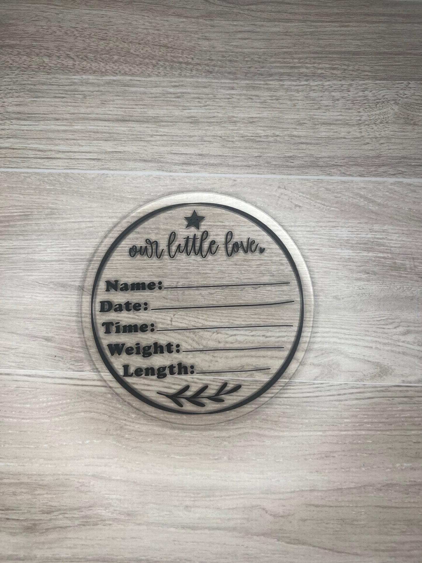 Baby Girl Monthly Milestone