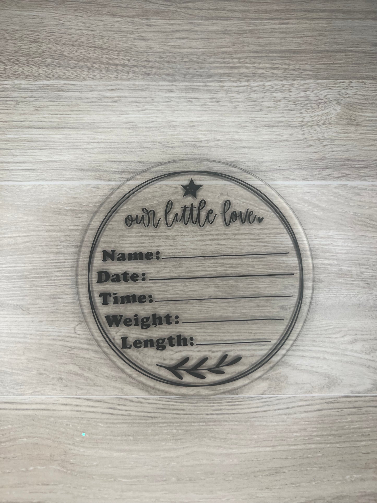 Baby Boy Monthly Milestone