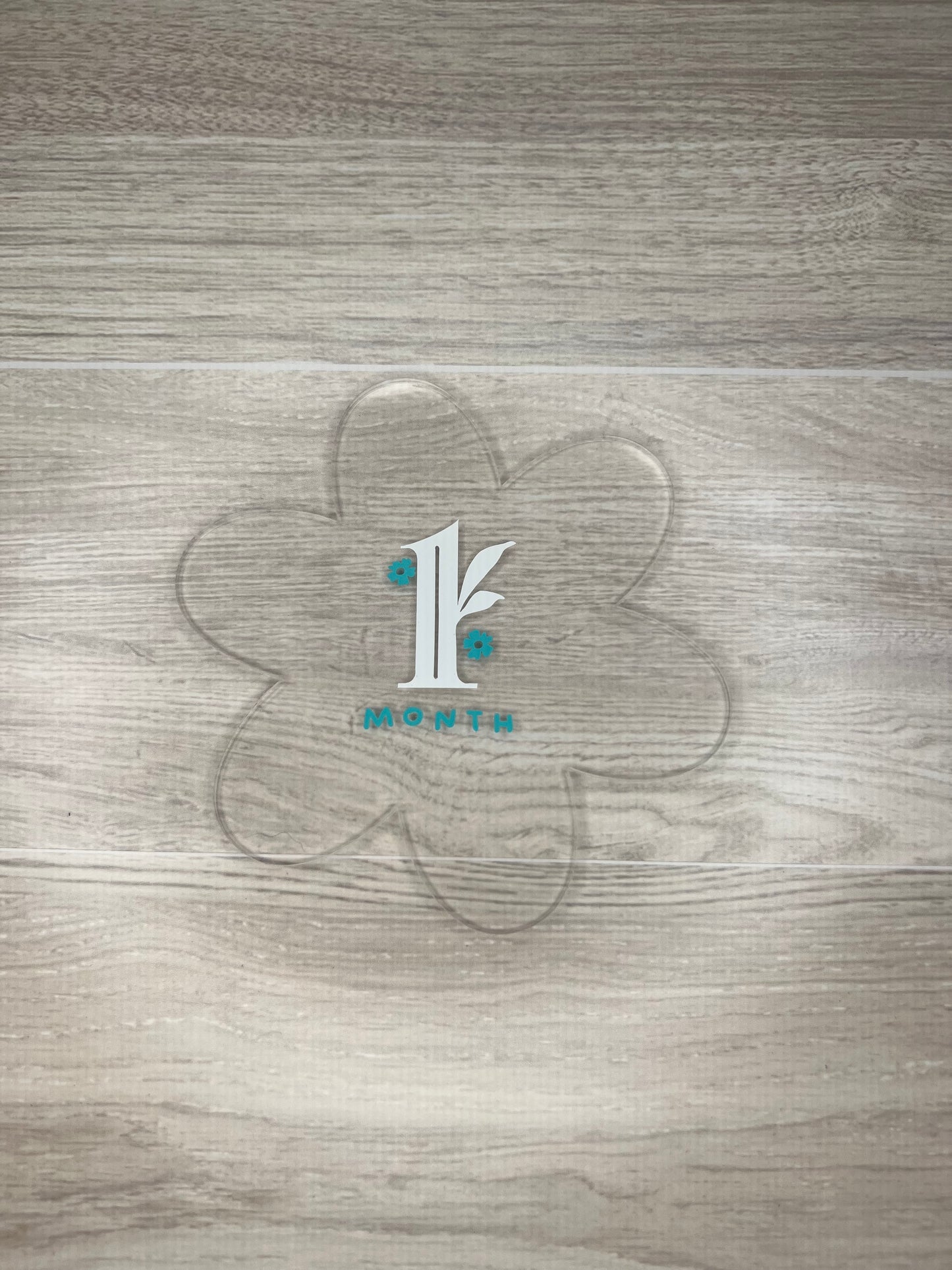 Baby Girl Monthly Milestone